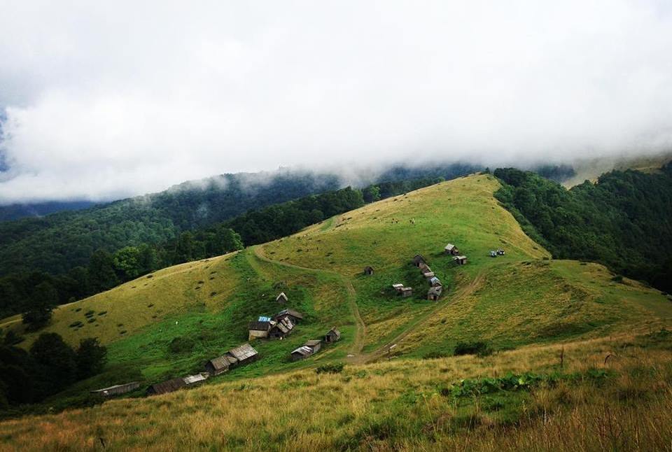 Карпаты в тумане