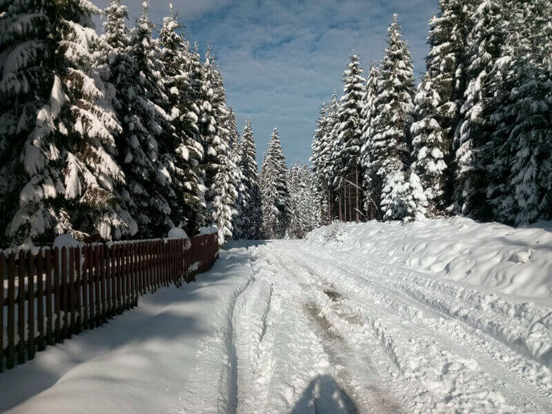 зима в Карпатах