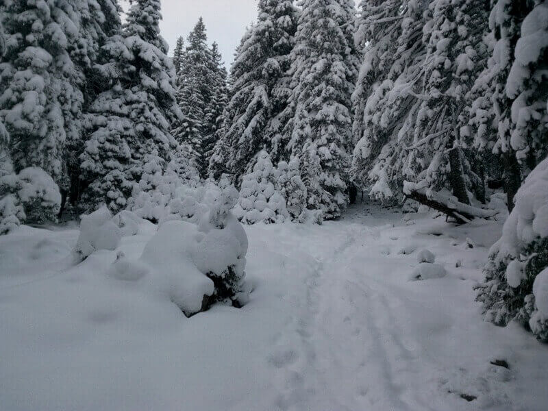 по дороге на Петрос зимой
