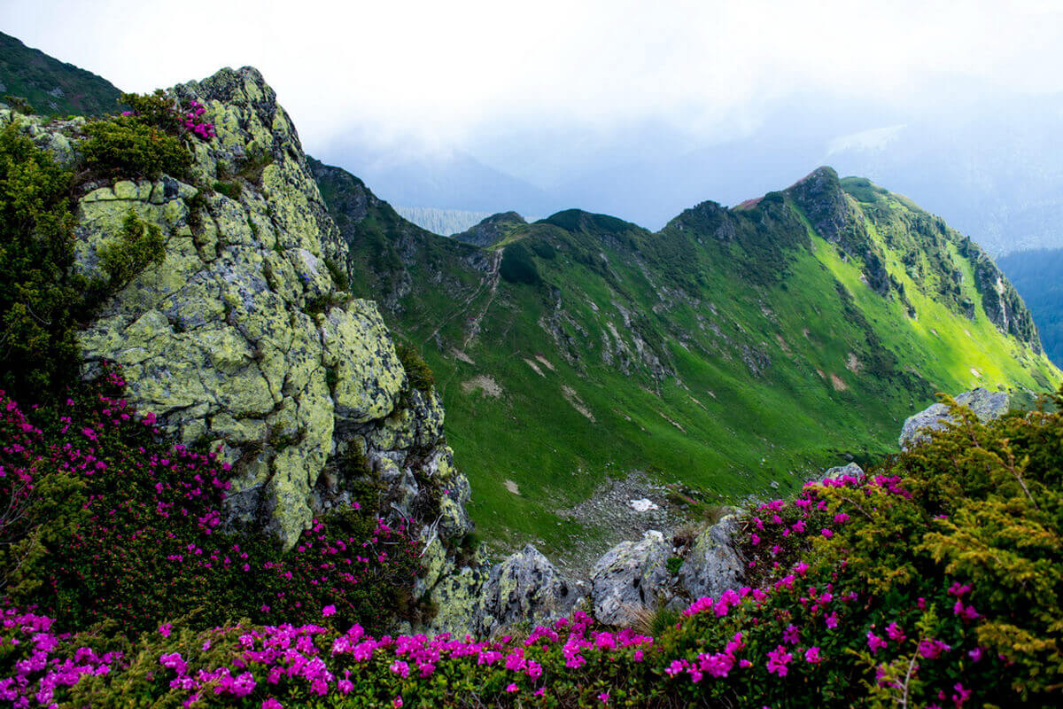 Дикие пейзажи Мармарос
