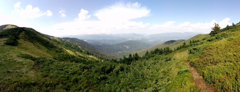 Панорама