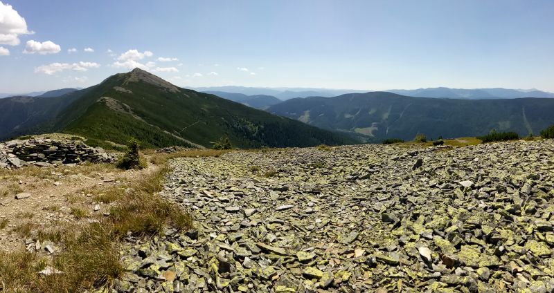 Горганы